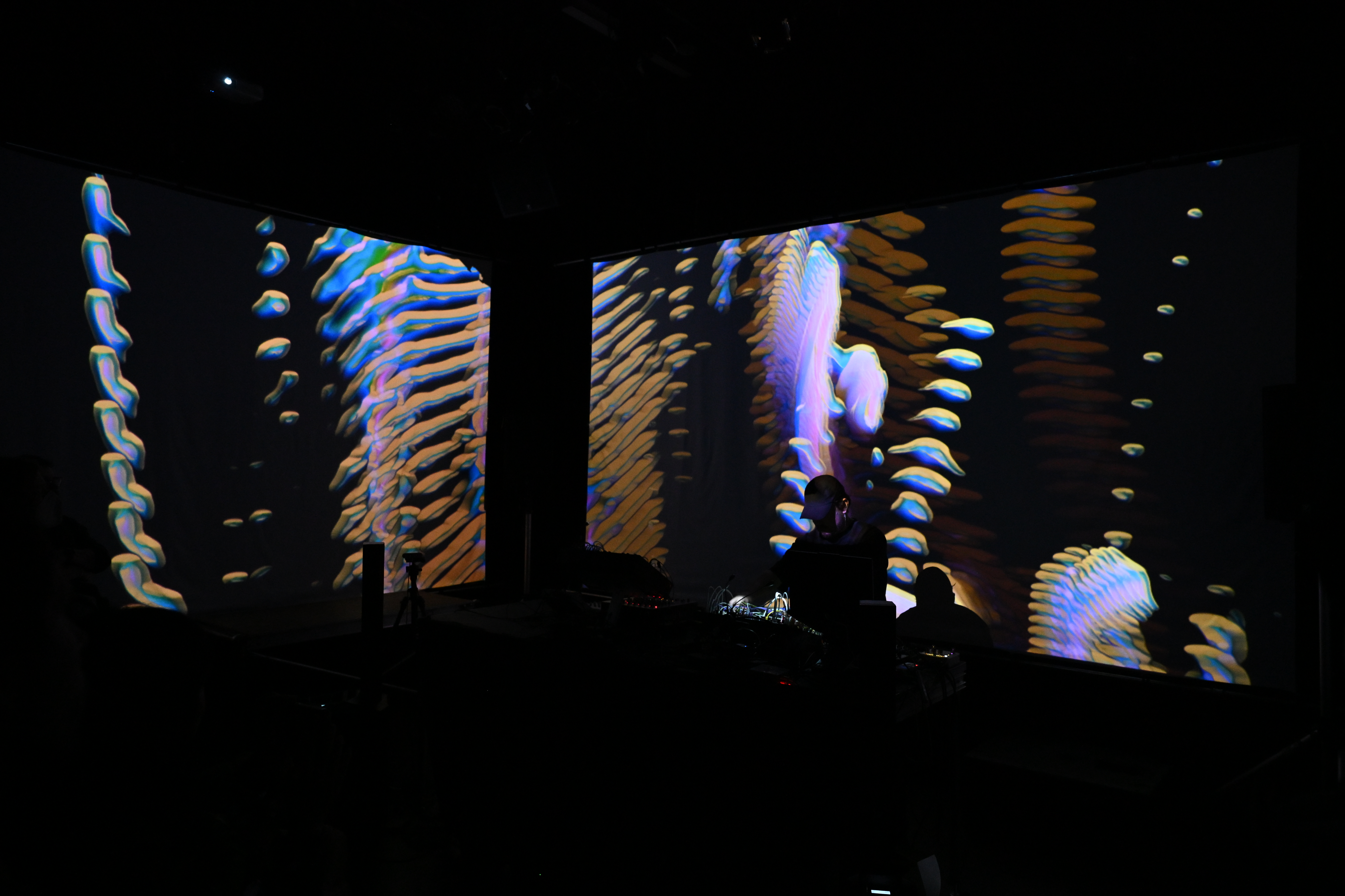 Ashwell Woodland live performance — Photo by Evan Dysart