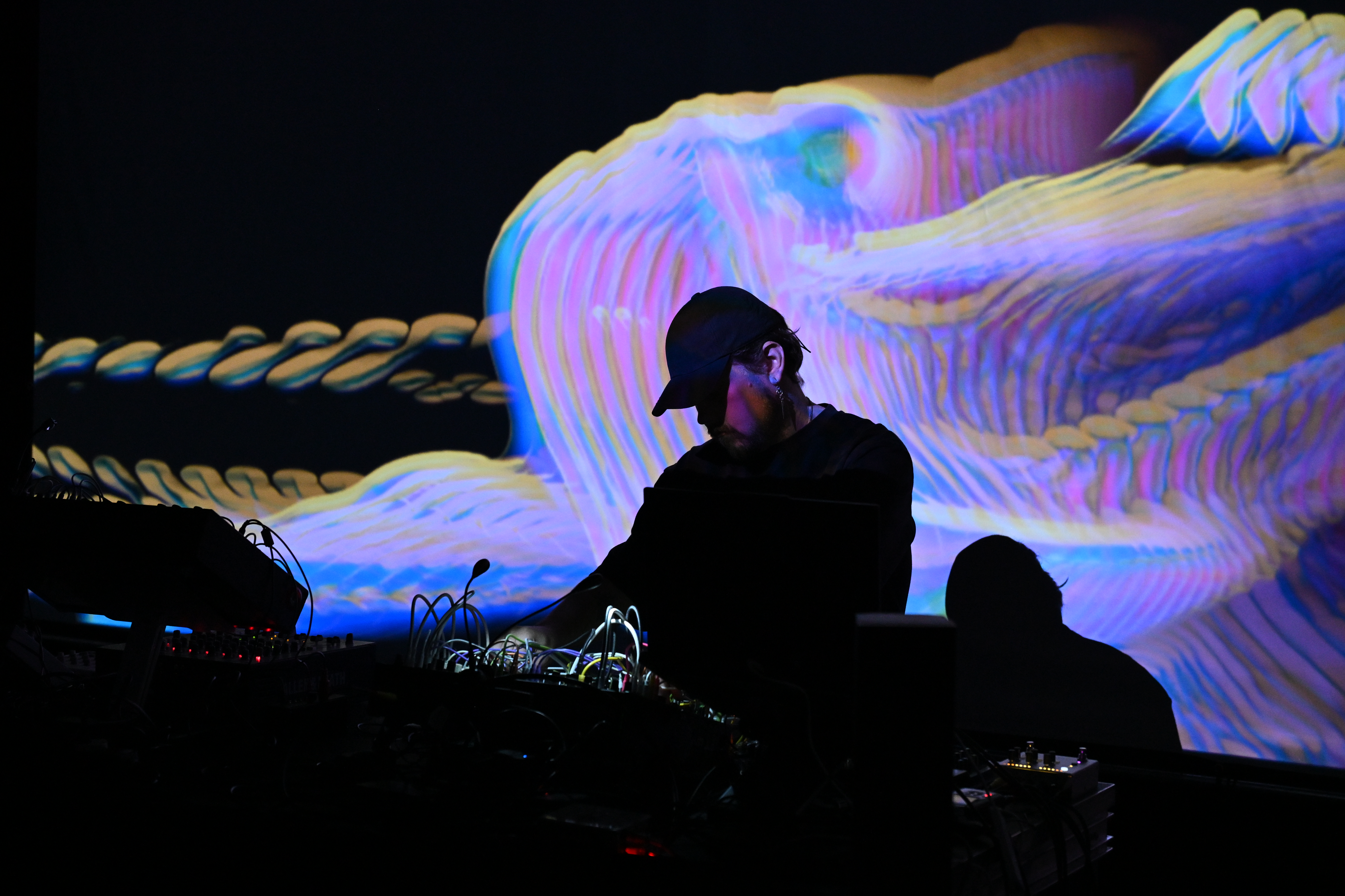 Ashwell Woodland live performance — Photo by Evan Dysart