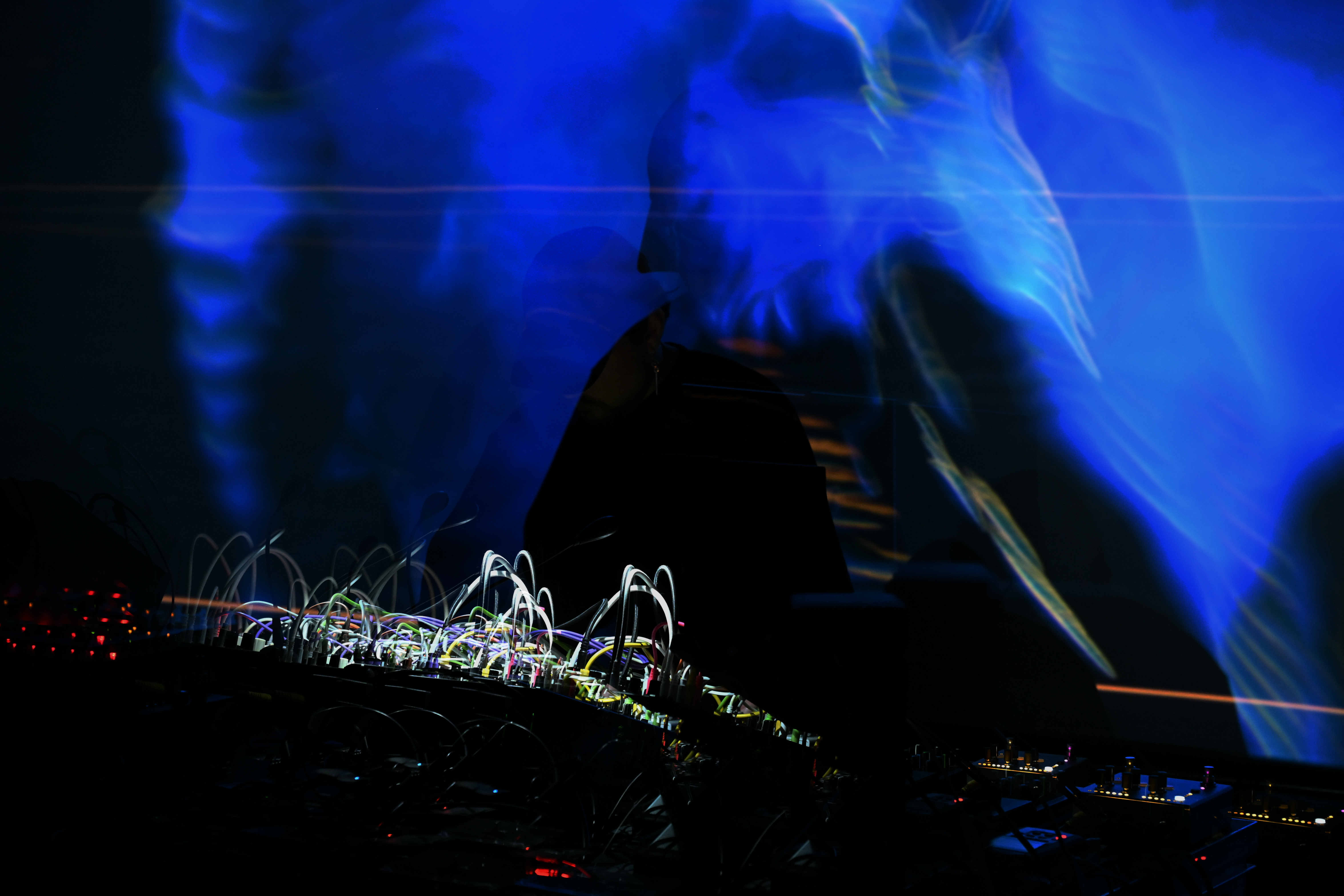 Ashwell Woodland — Photo by Evan Dysart